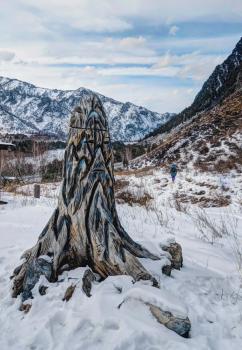 Тур на Алтай зимой 2024 из Горно-Алтайска