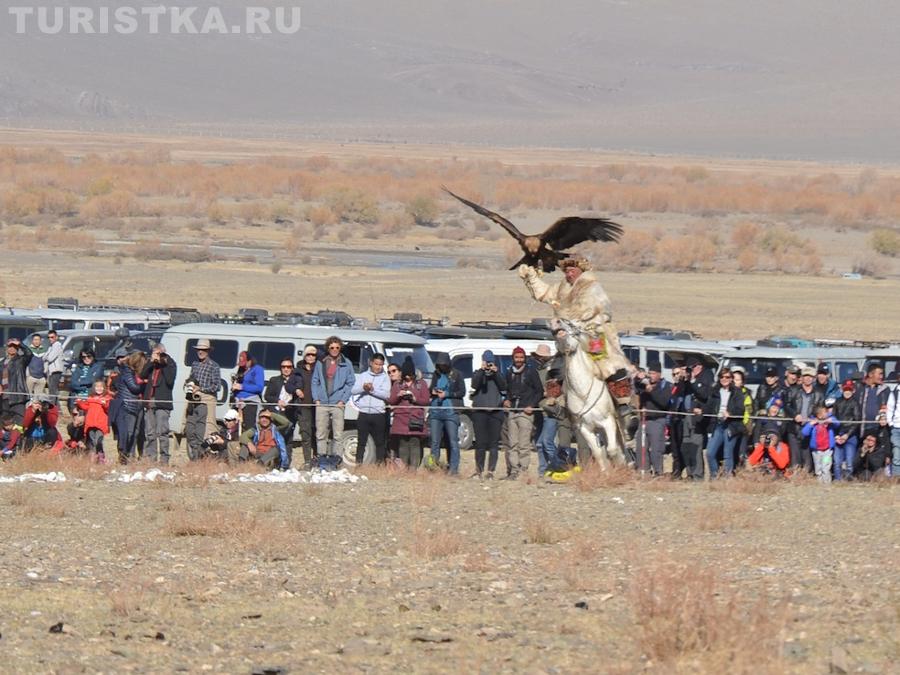 Фестиваль охотников беркутчи в Монголии