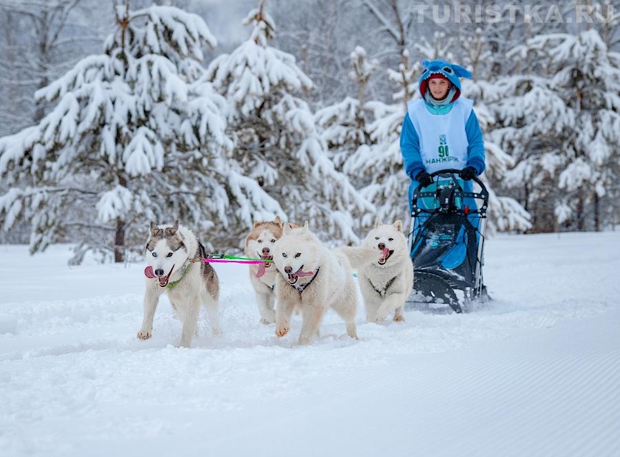 Гамаюнова Анастасия, нарта-спринт 4 собаки