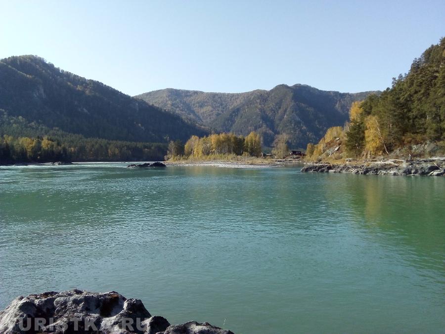  река Катунь в начале села Муны