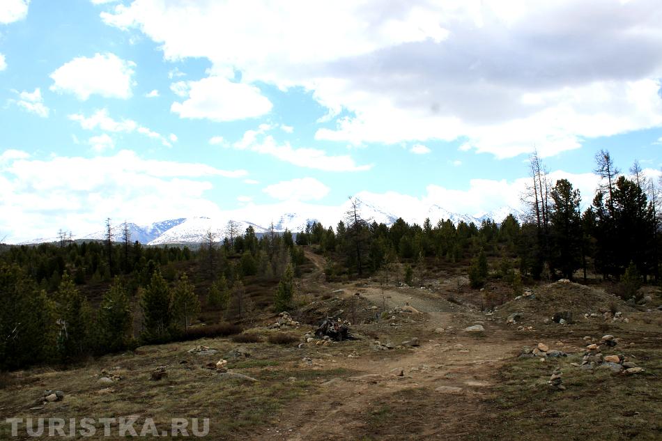 Вид на Улаганском перевале. Алтай
