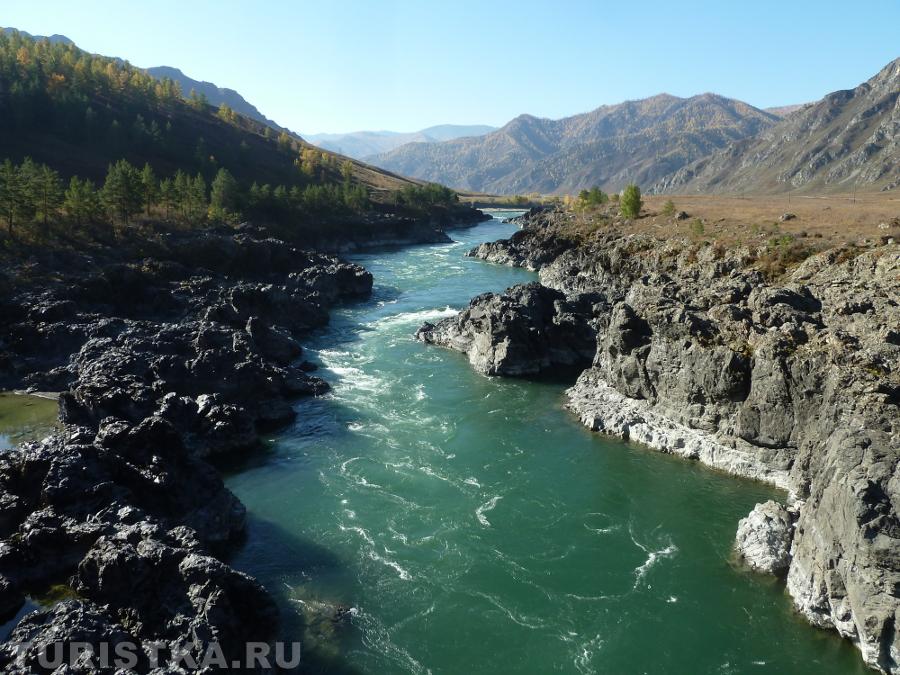 Самое узкое место реки Катунь. Снимок сделан с Ороктойского моста