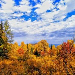Фотоконкурс Золотая осень на Алтае 2020. Подъёма на гору Малая Синюха, рядом с Манжерком. Дата:17.09.20