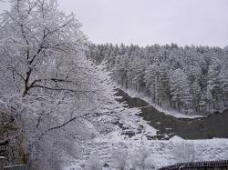 Зимний тур Горный Алтай : Река Узнезя 04 ноября 2017