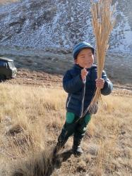 Фотоконкурс Золотая осень на Алтае 2020. На границе с Монголией, Ташанта. Дата: 10.2020
