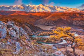 Фотоконкурс Золотая осень на Алтае 2020.Курайская степь с видом на Северо-Чуйский хребет. Дата: 10.2020