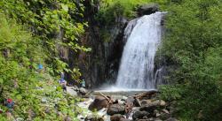 Тренинги на Алтае : Тур из Барнаула : водопад Корбу