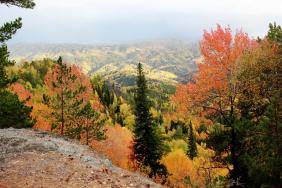 Фотоконкурс Золотая осень на Алтае 2020. Белокуриха-2.Радужные деревья.Дата:18.09.20