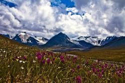 Активные туры на Алтай : Турклуб Место силы : К озеру Алахинское