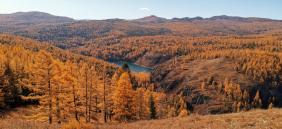 Фотоконкурс Золотая осень на Алтае 2020.Учкель  по дороге к перевалу Кату-Ярык.