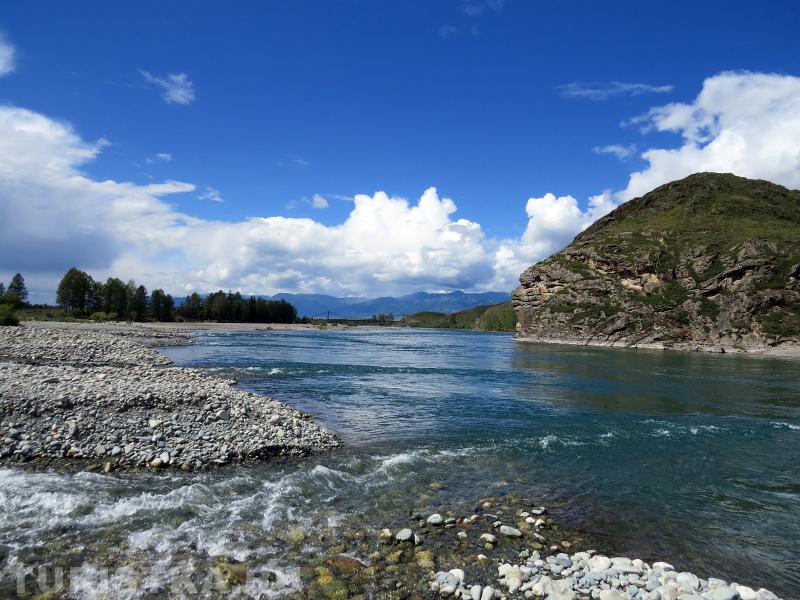 Слияние реки Мульта и Катунь в 500 м 