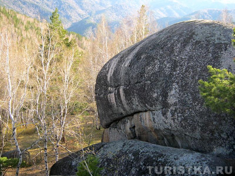Каменный Кит на безымянной горе 