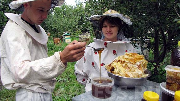 Пчеловоды Алтайского края