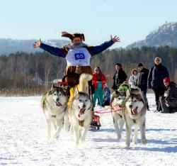 Отдых на Алтае зимой : Соревнования на собачьих упряжках