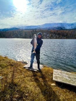 Сиг рыбалка на озере Алтая