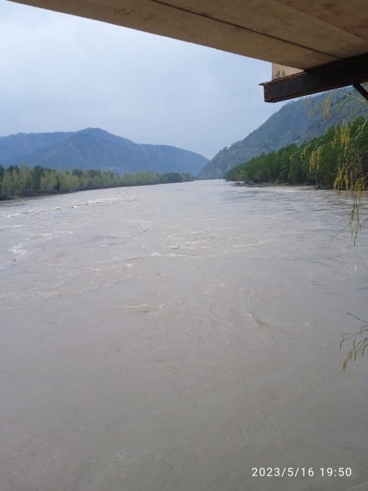 Река Катунь в мае 2023 возле усадьбы "Лукоморье" на Алтае