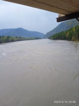 Река Катунь в мае 2023 возле усадьбы 