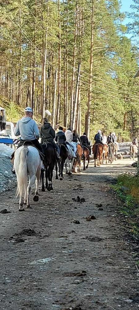 группа на конных прогулках