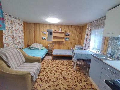 1 этаж домика до 6 человек