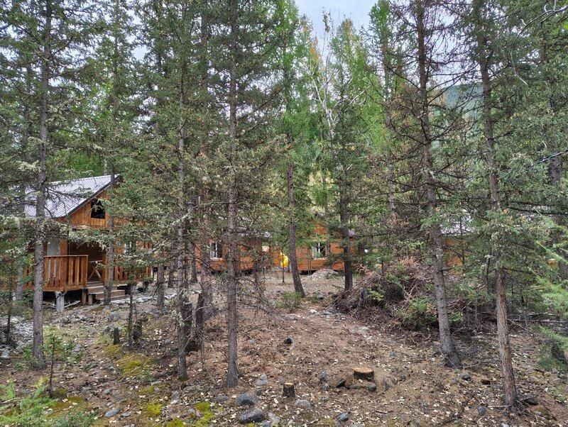 База START в Чибите