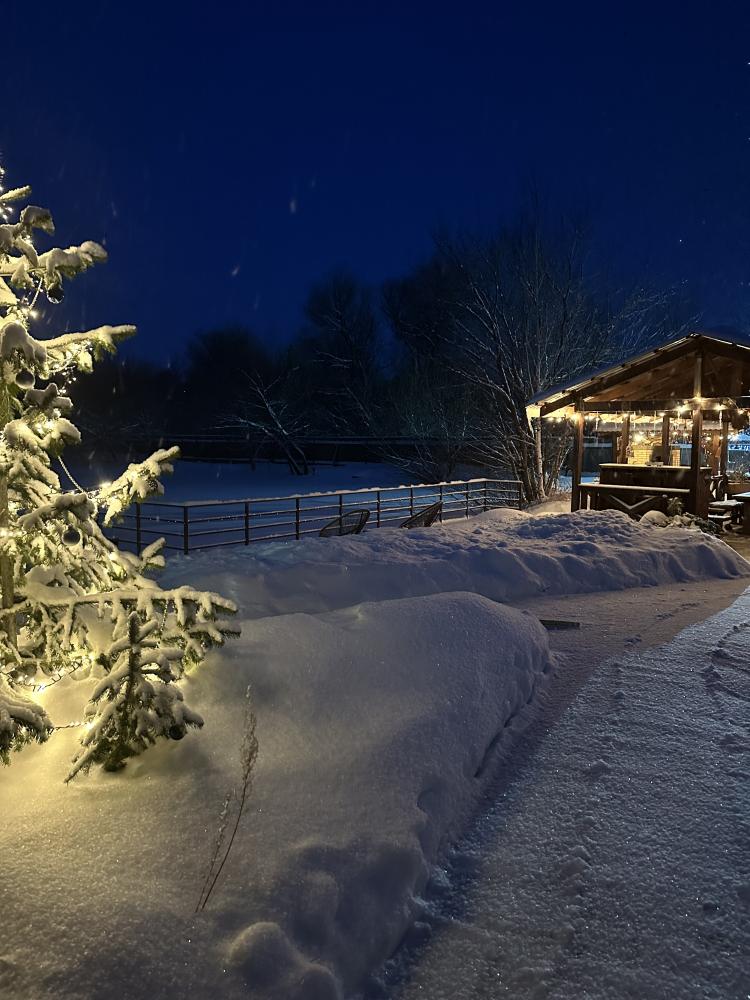 Отдых в Белокурихе на Алтае зимой