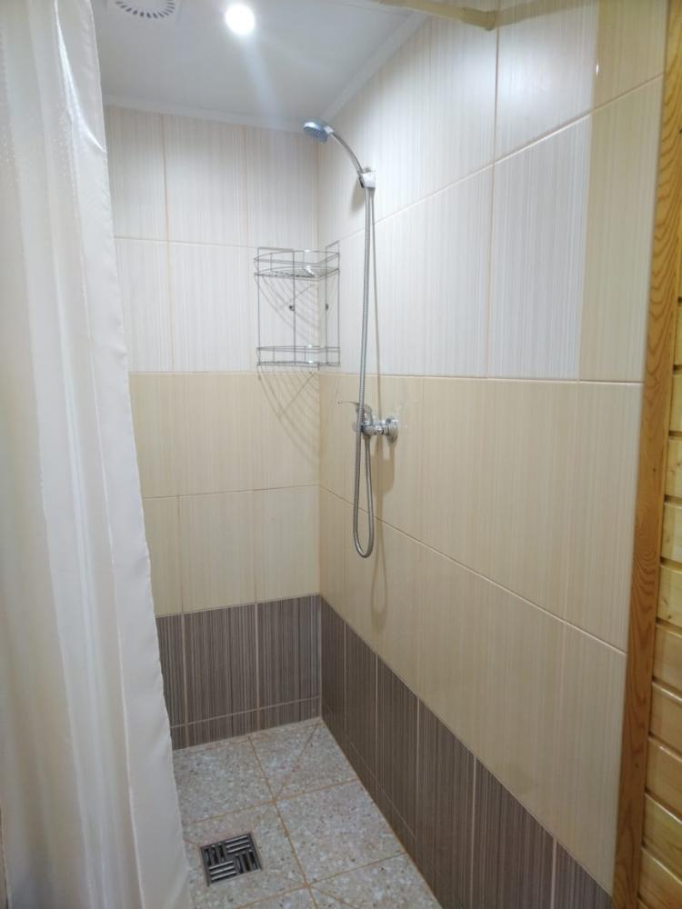 Санузел и душ в номере 4-хместном доме