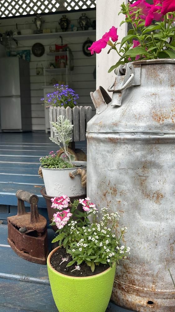 Уютная беседка-кухня