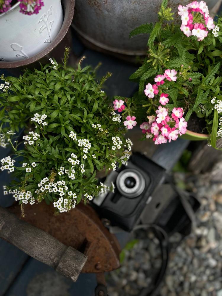 Уютная беседка-кухня