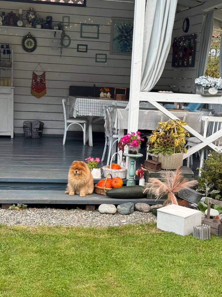 Уютная беседка-кухня