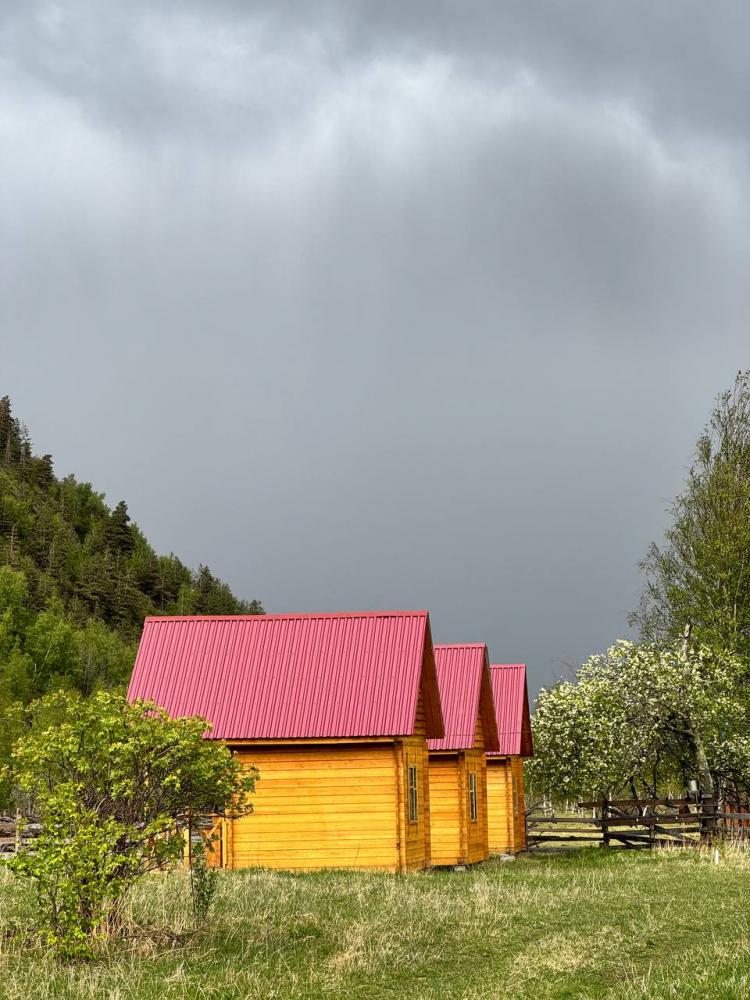 Турбаза "Южный берег" Телецкое озеро летние домики