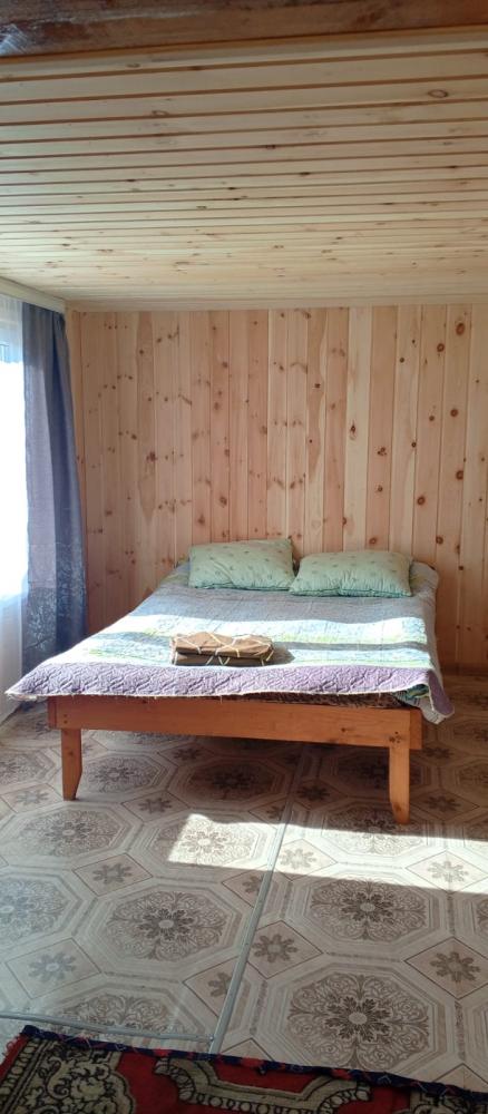 Курай Алтай база отдыха "Дамир"