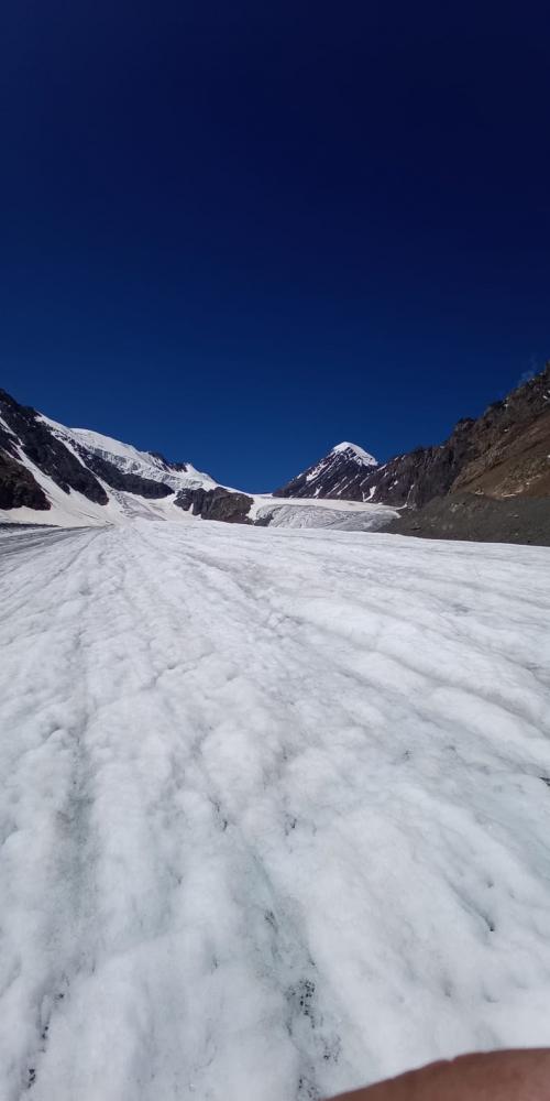 Ледники Актру