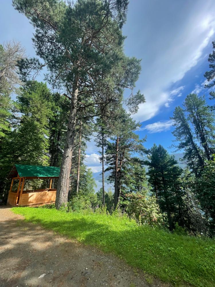 Обзор территории