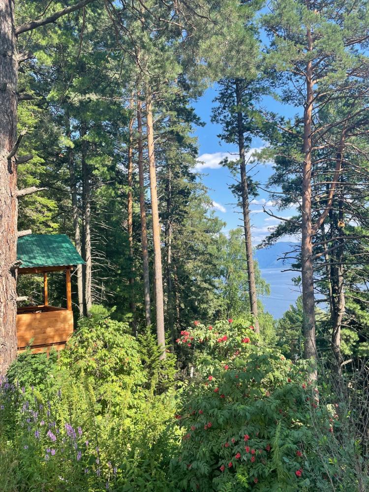 Обзор территории