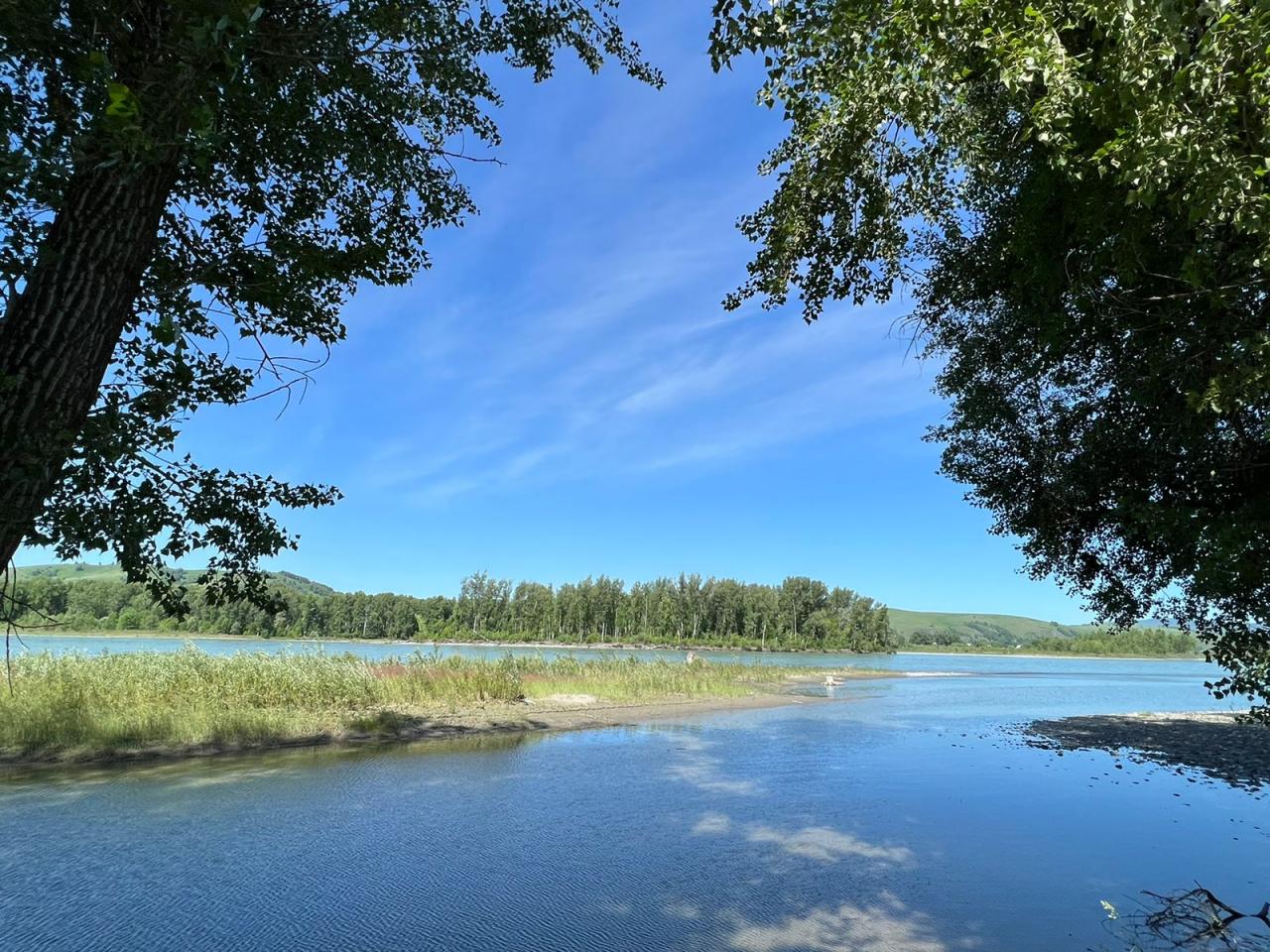 Река Катунь в 50 м от коттеджа в Дубровке Горный Алтай