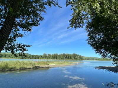 Река Катунь в 50 м от коттеджа в Дубровке Горный Алтай