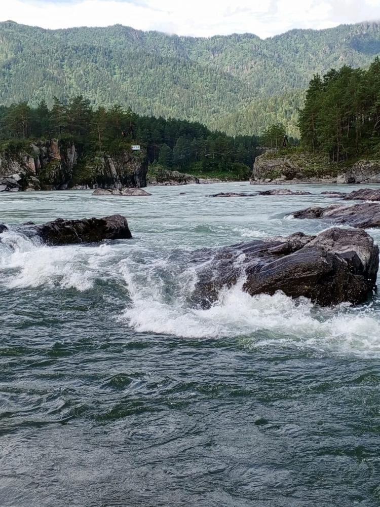 Тур выходного дня из Новосибирска река Катунь