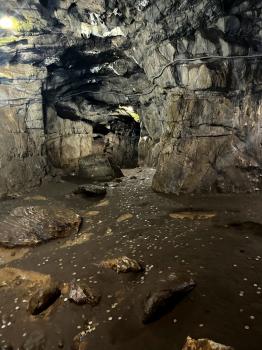 Экскурсия на Алтай из Новосибирска на 3 дня