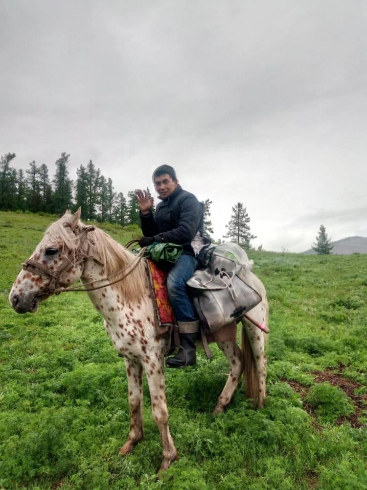 Однодневный конный поход по высокогорью Алтая