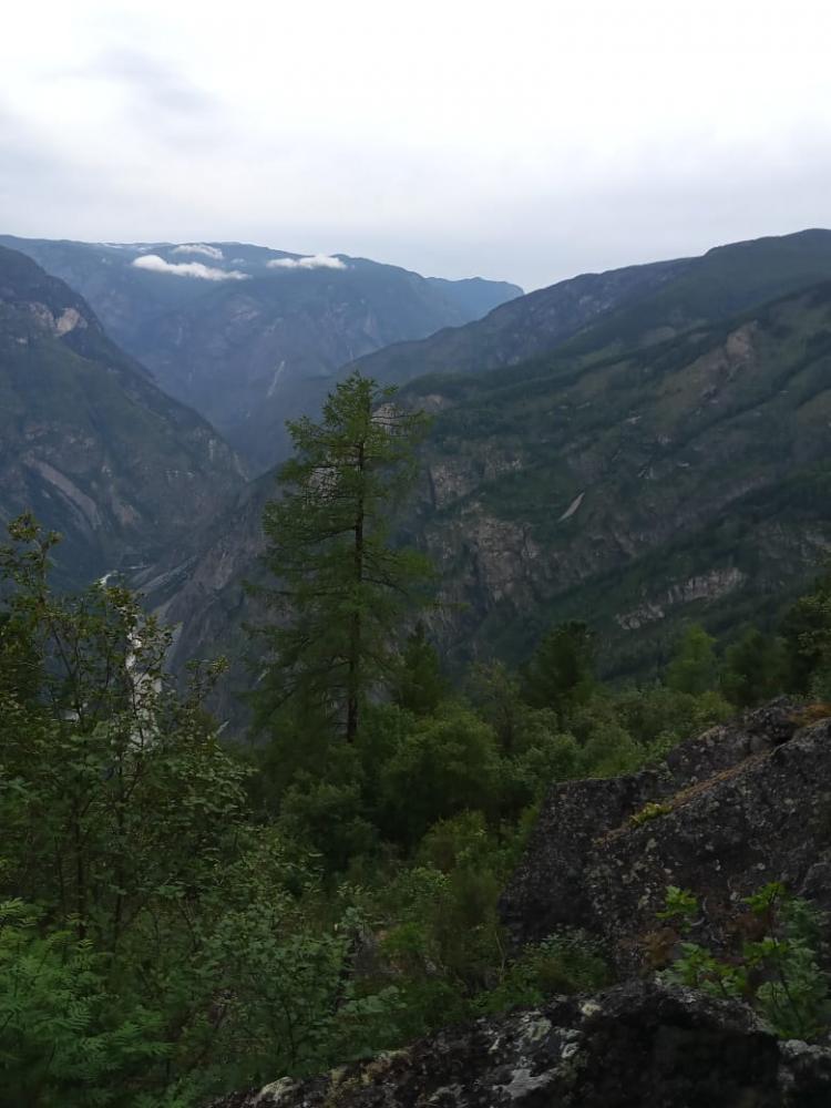 Тур из Горно-Алтайска по Алтаю летом 2023