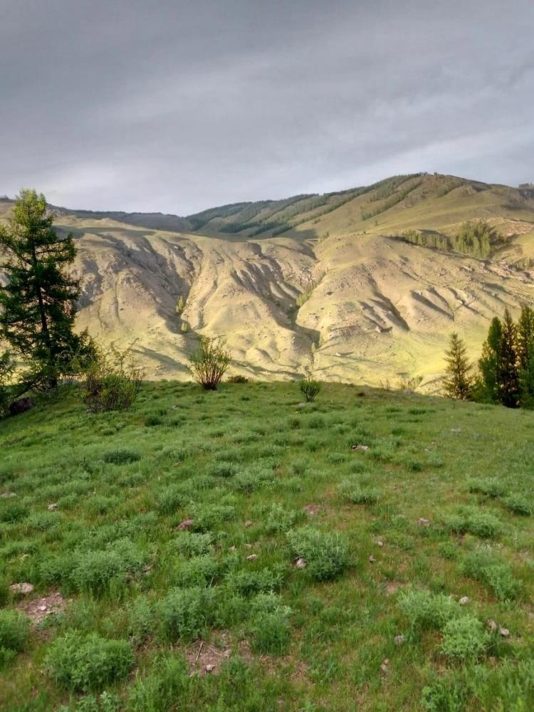 Алтай тур 2023 из Горно-Алтайска в долину Чулышмана  