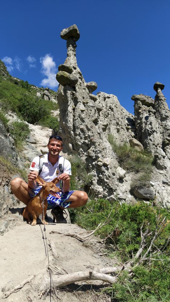 Каменные грибы 