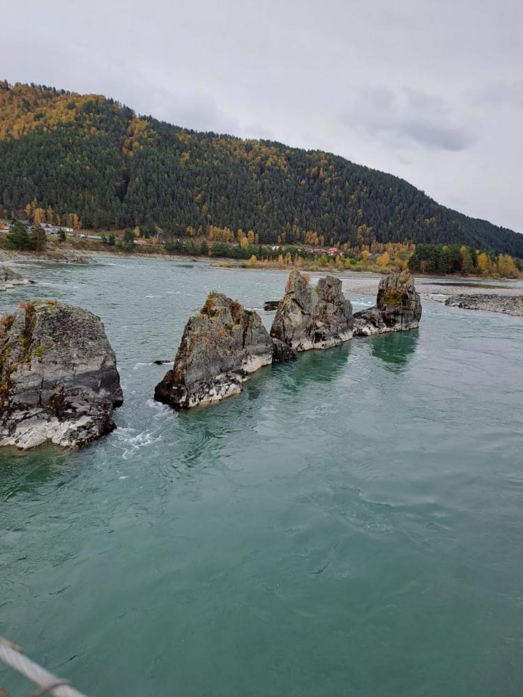 Выходные на Алтае 2025