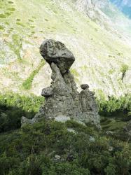 Каменные грибы достопримечательность Горный Алтай 