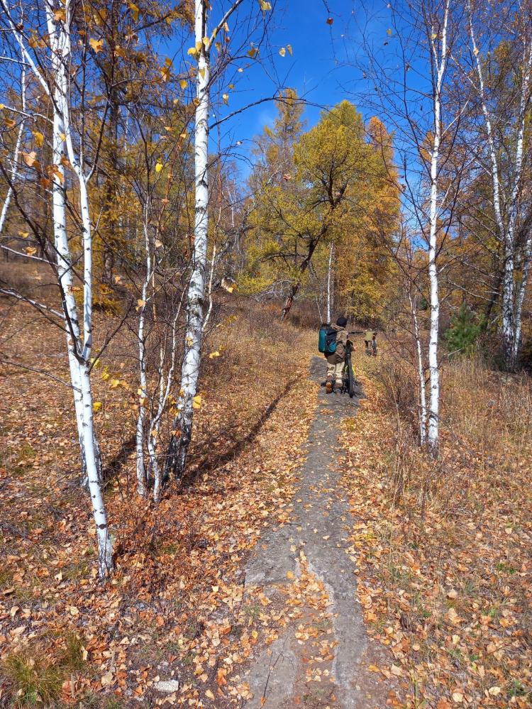 Гладкий камень