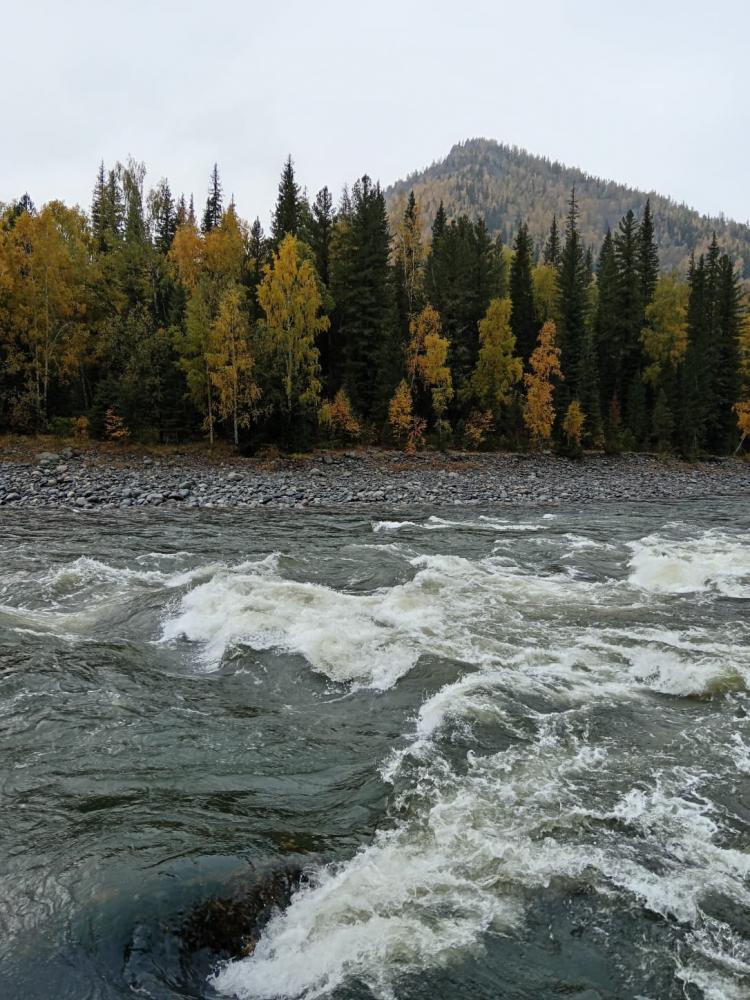 Пороги на р. Катунь