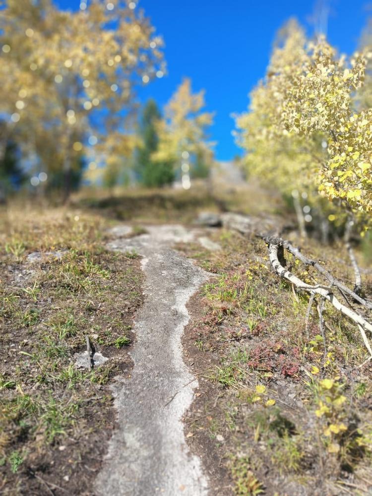 Гладкий камень