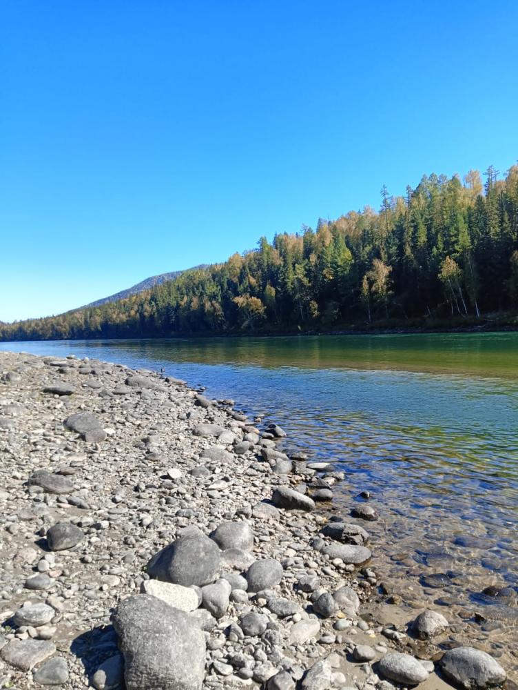 река Катунь