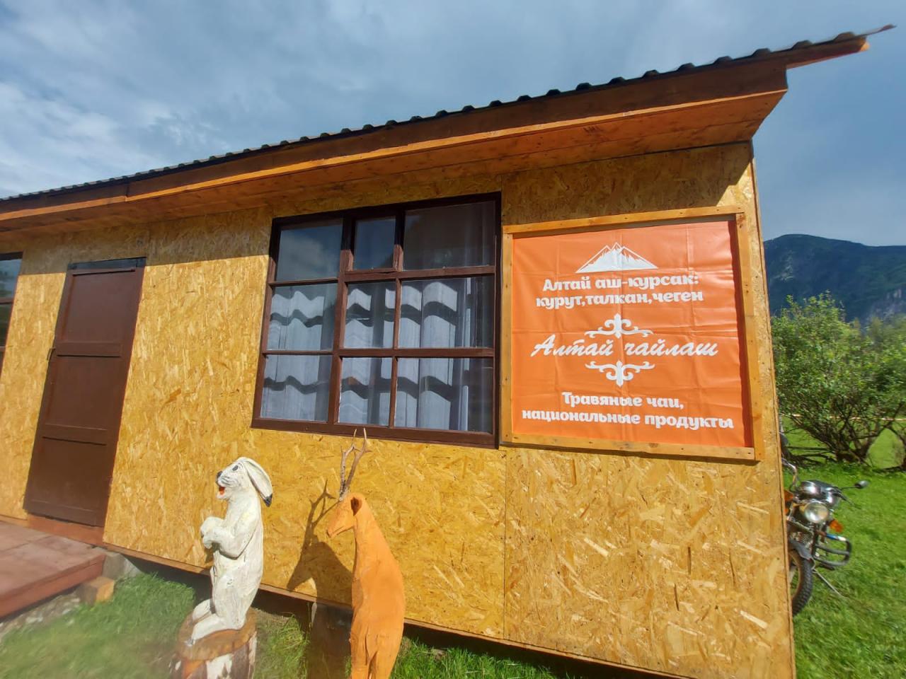 Эко база "Алтын" юг Телецкого озера 