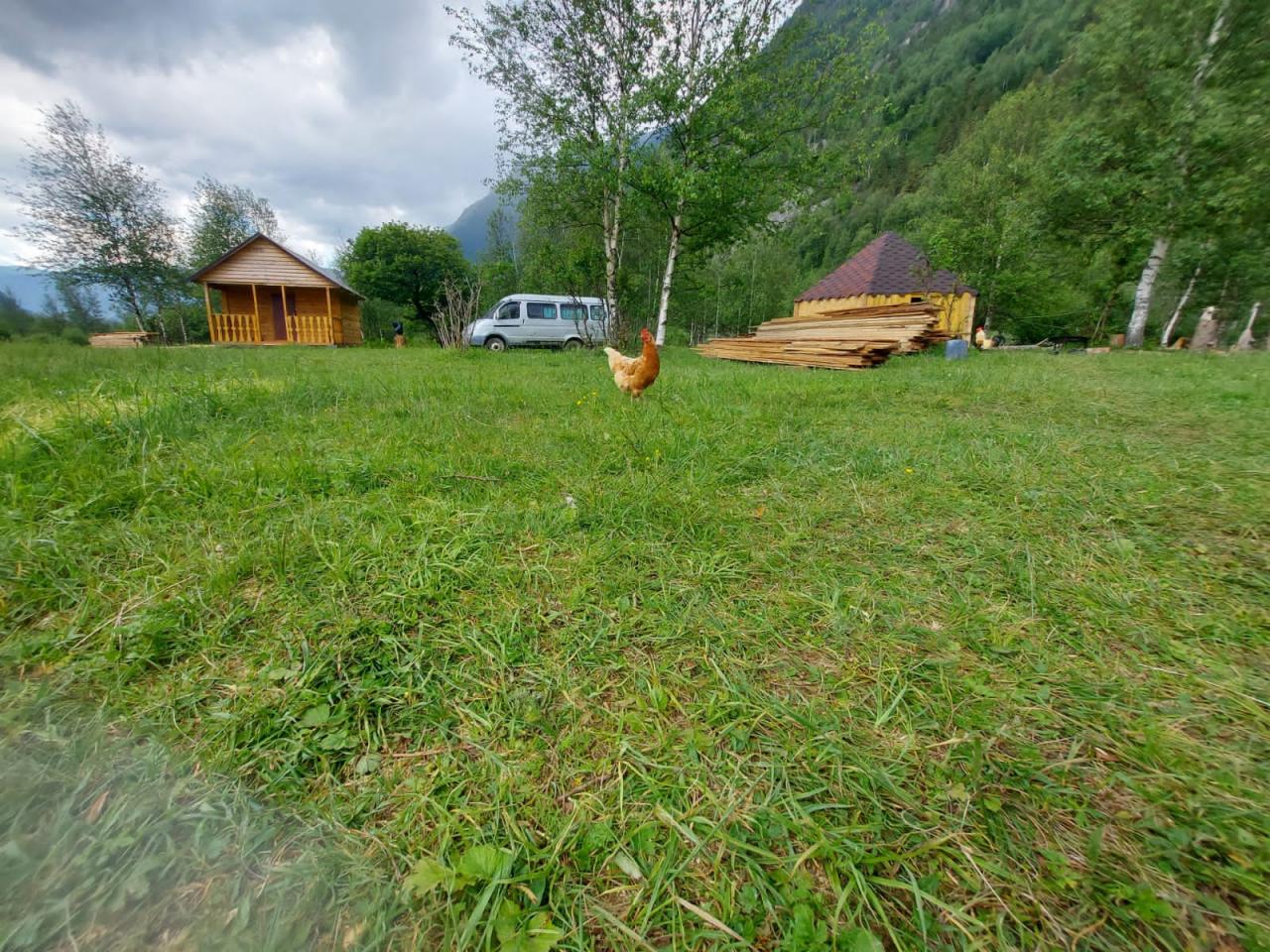 Эко база "Алтын" южный берег Телецкого озеро ЮБТО